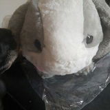 Kawaii Soft Bunny Plushies