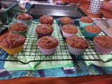 Muffin Cups - Original