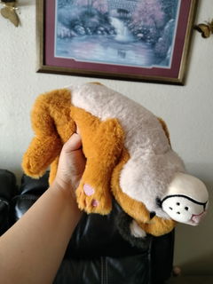 Review picture