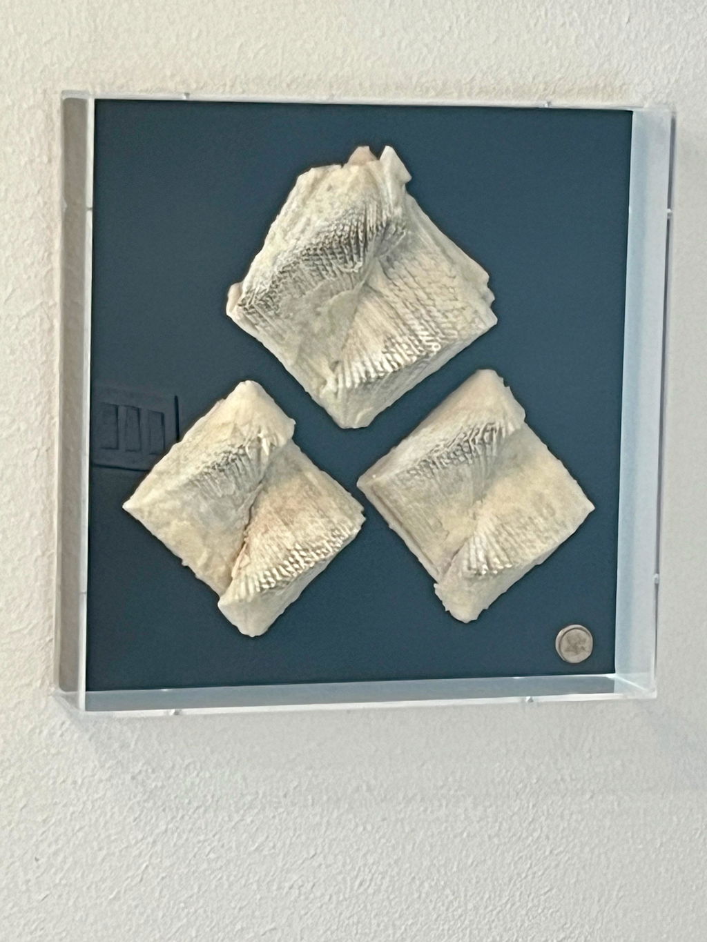 Custom Shadowbox