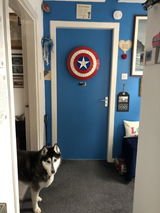 User picture