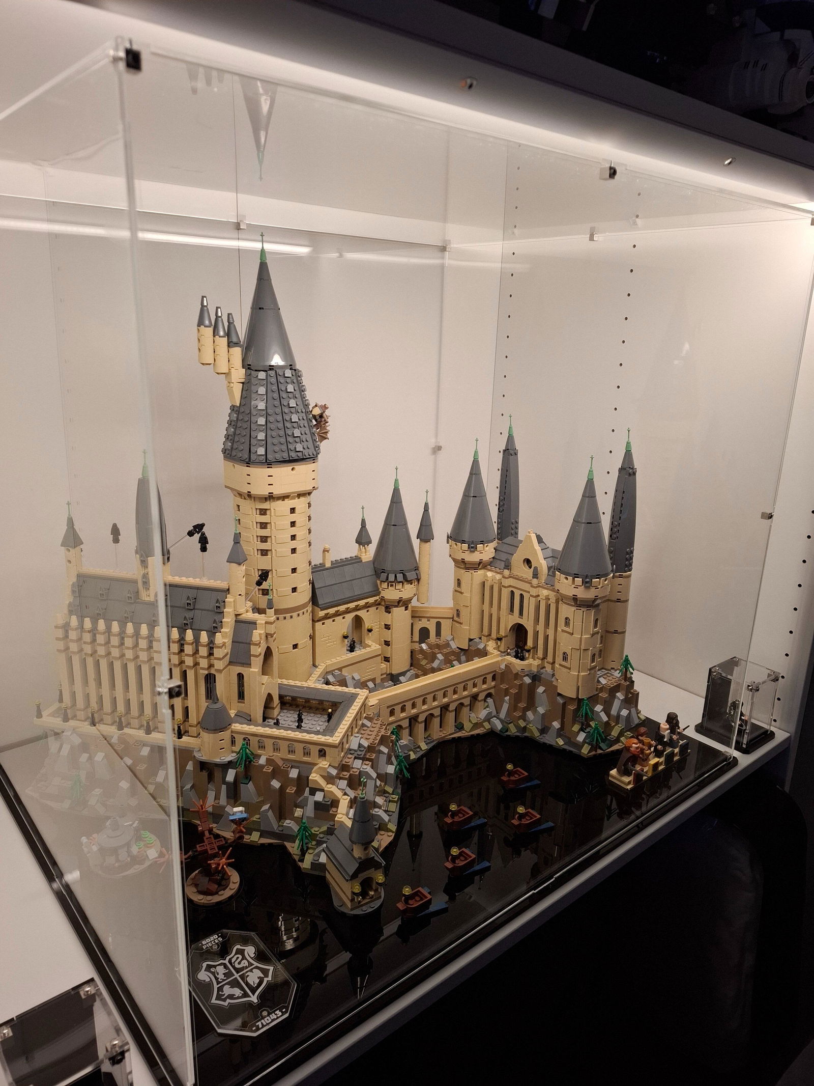Display Case for LEGO Harry Potter Hogwarts Castle 71043 — Wicked