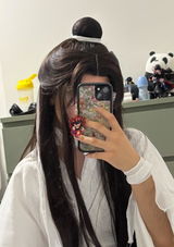Heaven Official's Blessing Xie lian Brunette Straight Synthetic Men's Wig With Bun TB1751