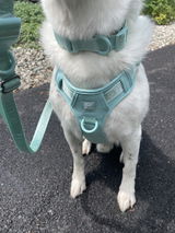 Wolfdoge Signature Harness
