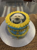 Pawtrait Cake