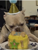 5" Pawberry Cake