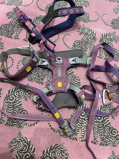 Review picture