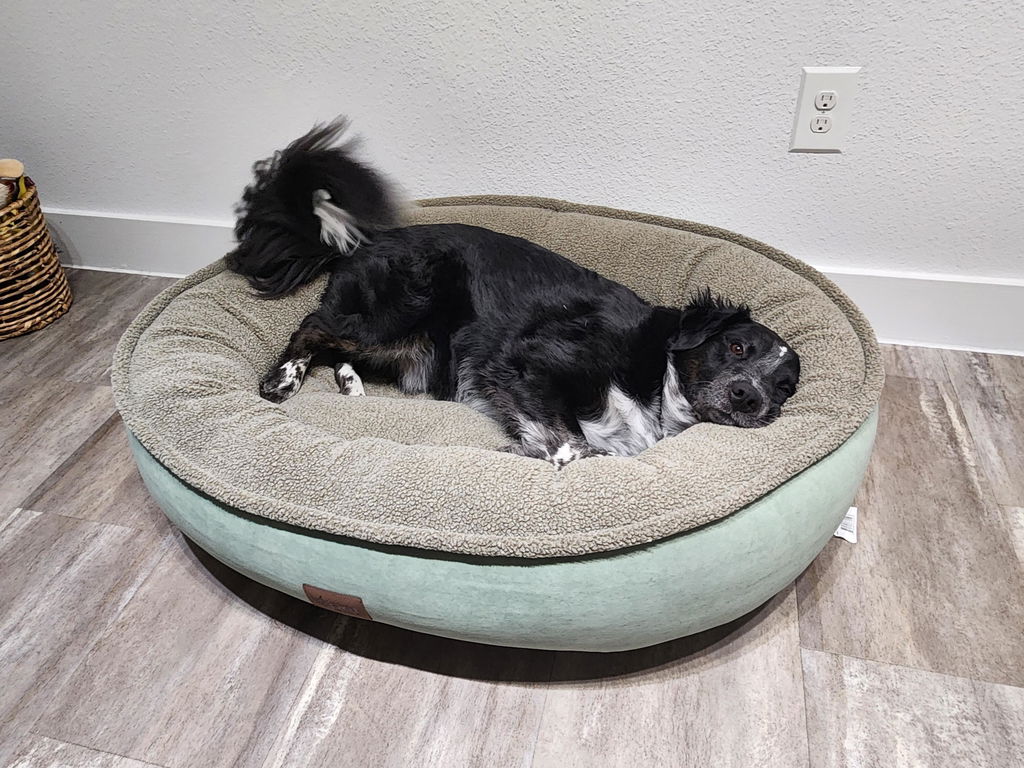 Microfiber Comfy Cup Bolster Dog Bed