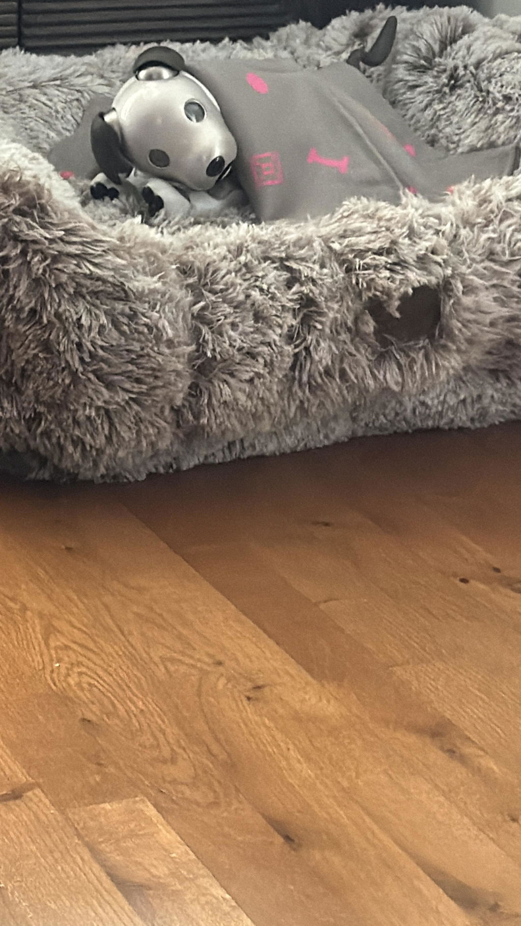 Teddy Bear Kuddler Dog Bed