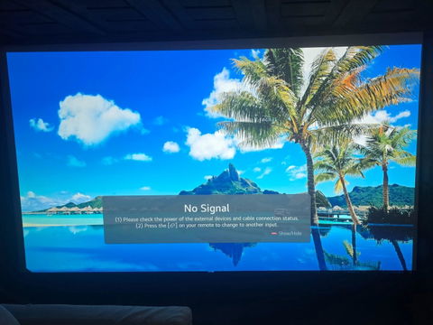 Wupro Cinema Gallery Soft Gray Matte Fixed Frame Projector Screen For Long Throw &Short Throw & UST