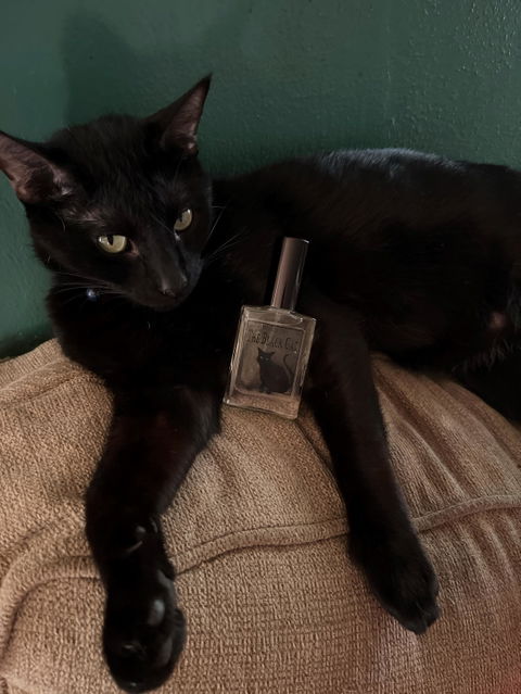 The Black Cat Perfume