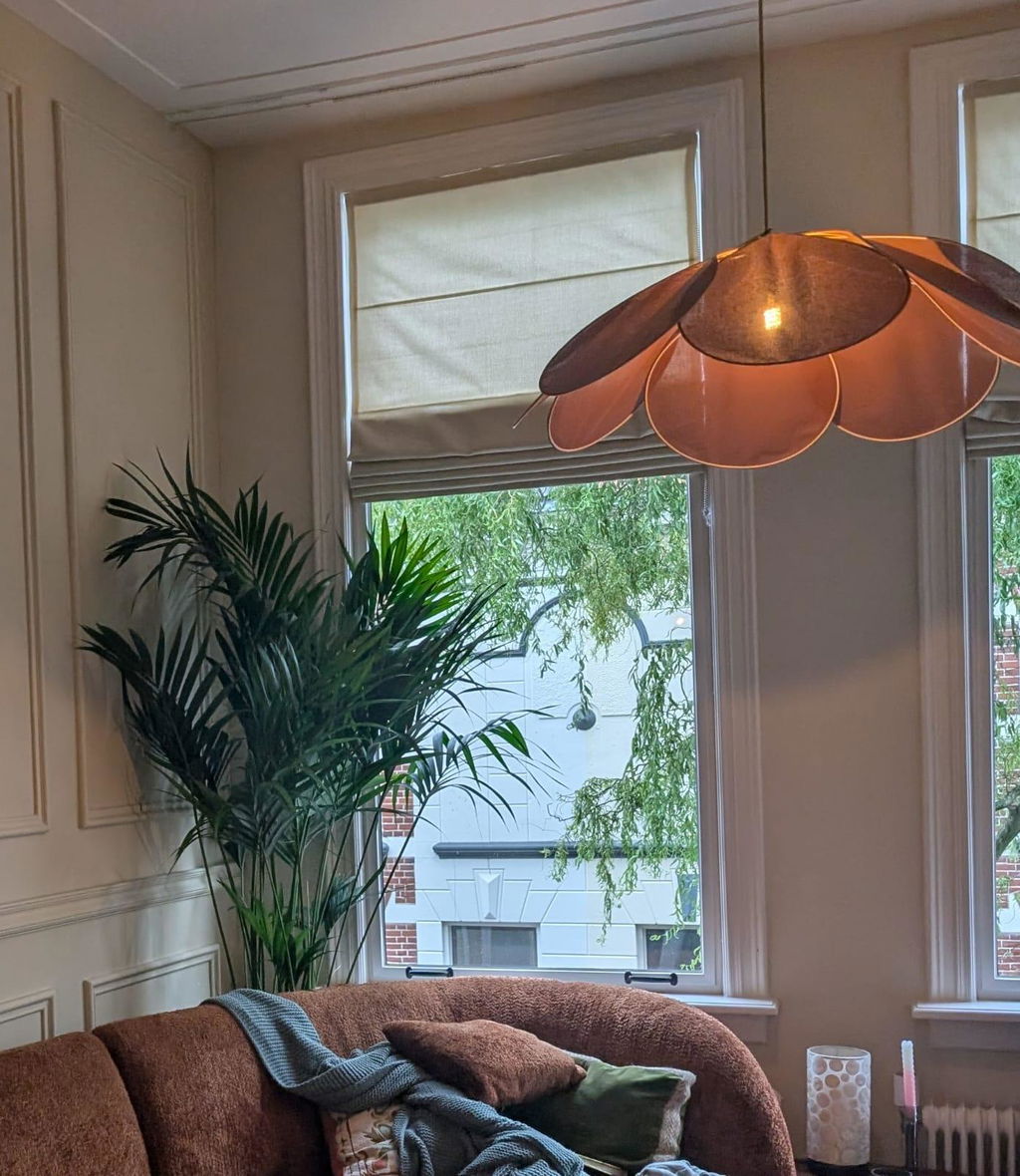 Kentia Palm 160cm - ø24