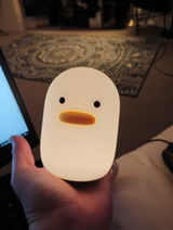 User picture