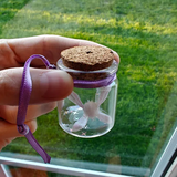 Bottled Fairy ~ With carrying string!