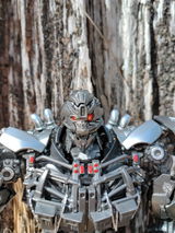 User picture