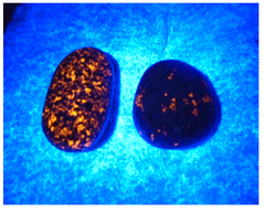 Review picture