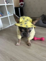 User picture