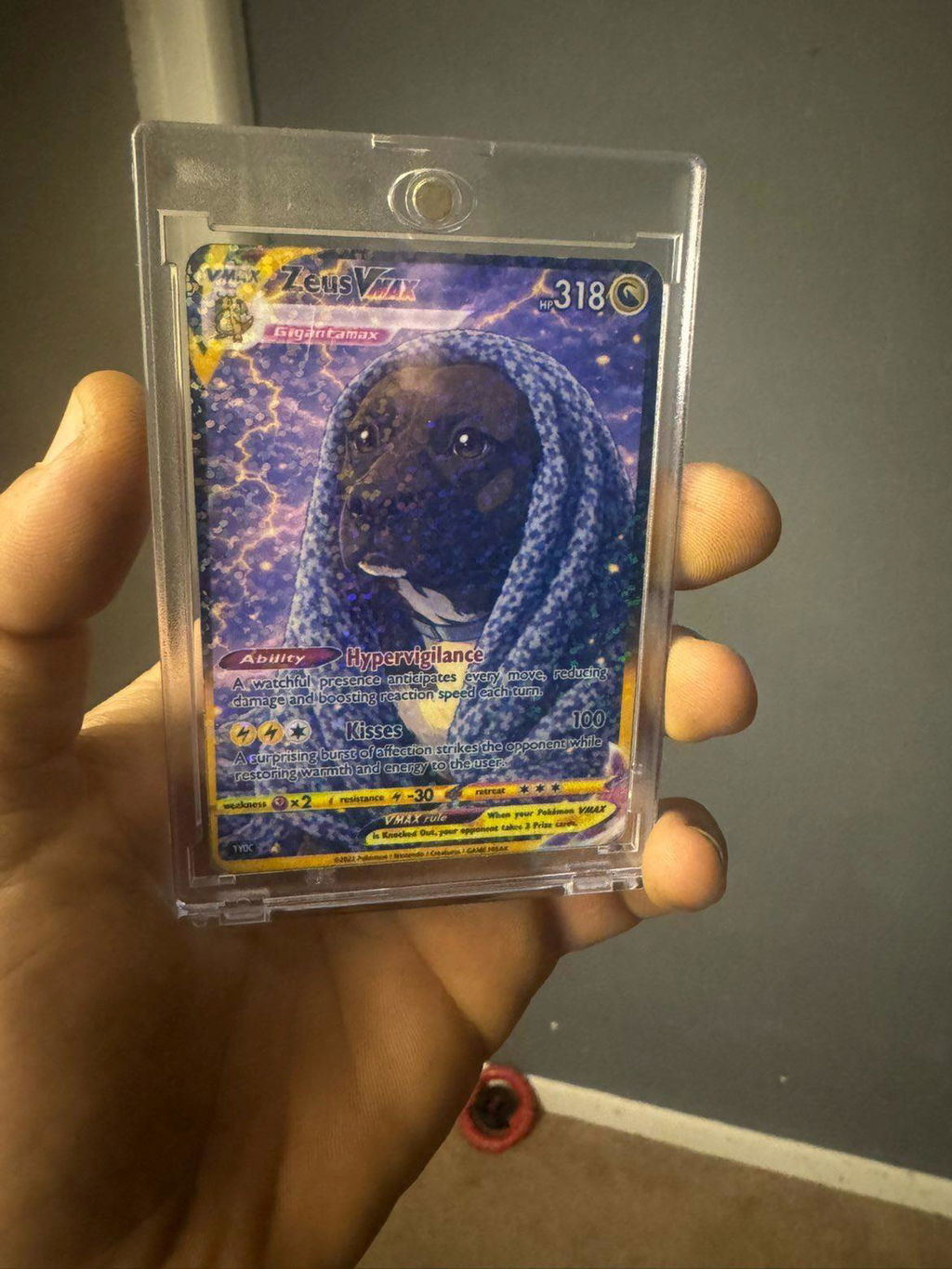 Custom Pokémon Card — Pets