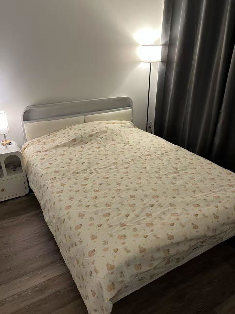 Winter Mulberry Silk Duvet